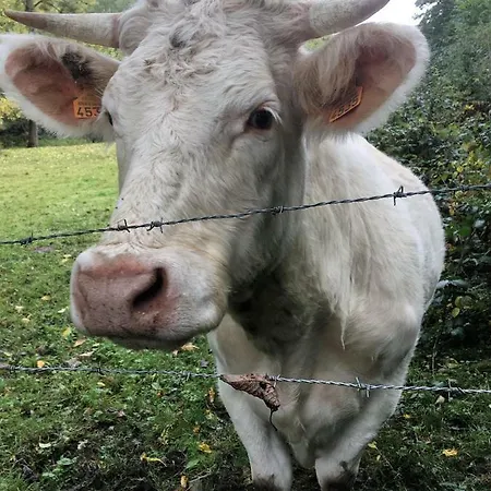 Moulin De La Fayolle ベッド・アンド・ブレックファスト