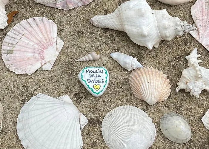 Bed & Breakfast Moulin De La Fayolle