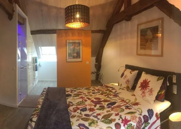 Bed & Breakfast Moulin De La Fayolle *